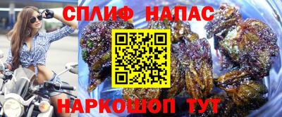индика Кимры