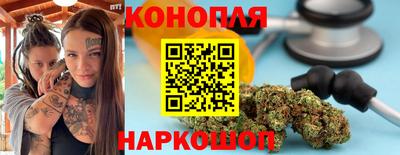 скорость Кингисепп