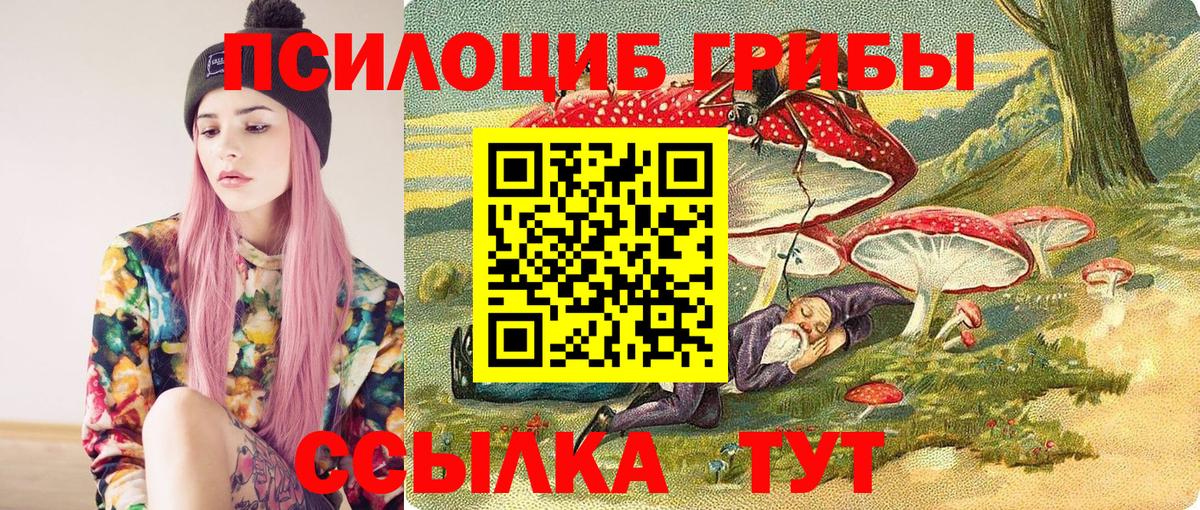 Котлас  Галлюциногенные грибы Cubensis  Вход с VPN 
