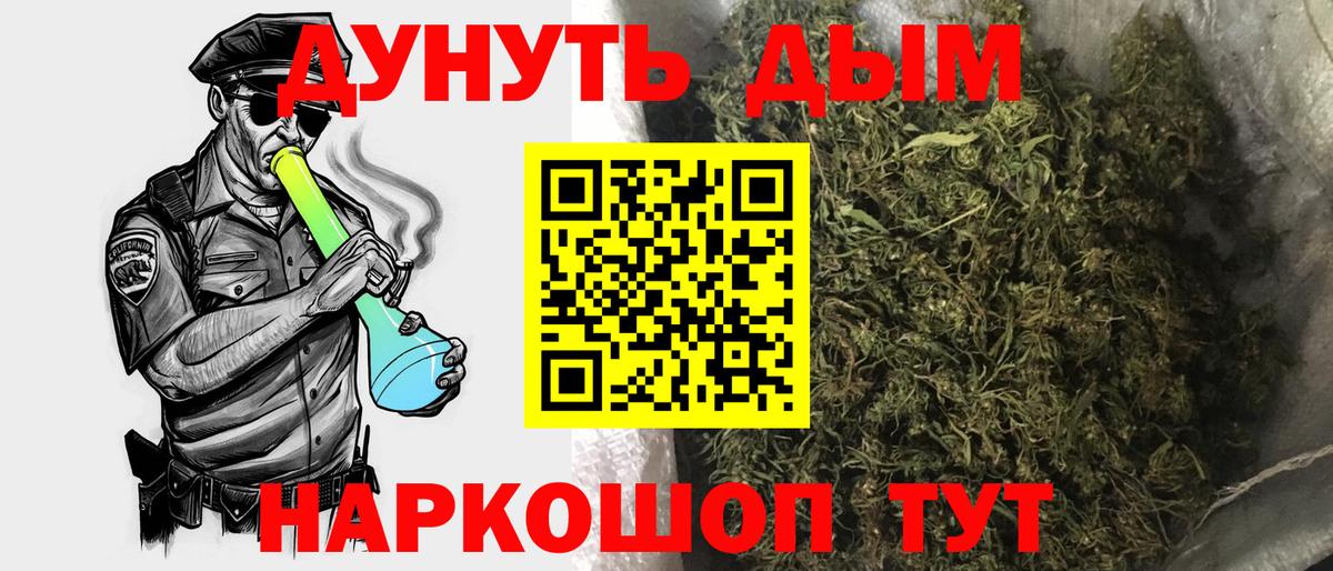 Бошки Шишки план Котлас